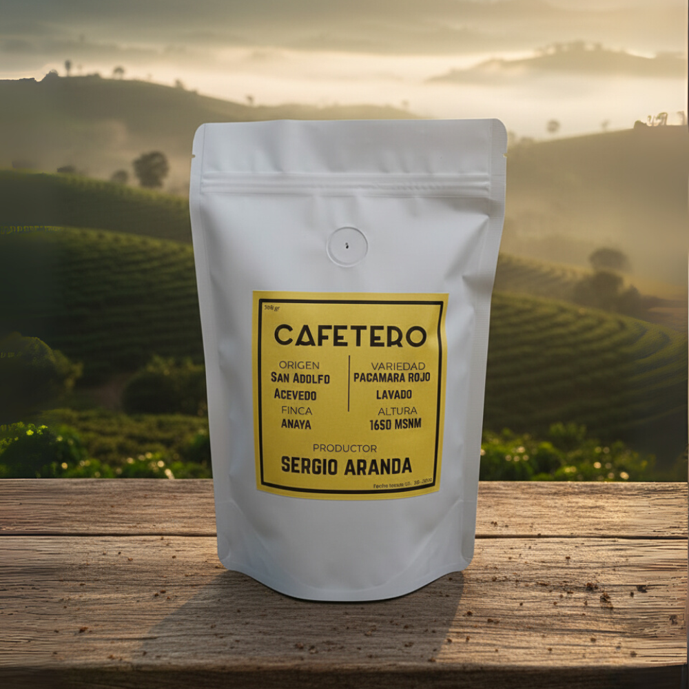 PACAMARA LAVADO - CAFETERO
