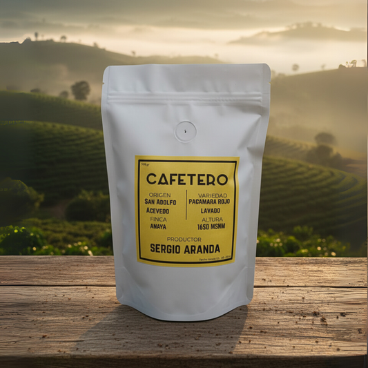 PACAMARA LAVADO - CAFETERO